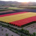 Sol Ideal Familias . Lägenhet *