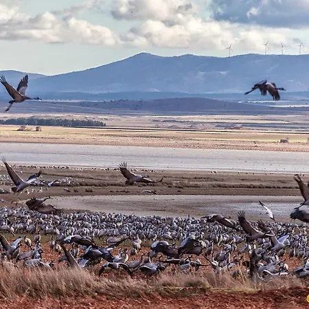 Sol Ideal Familias *