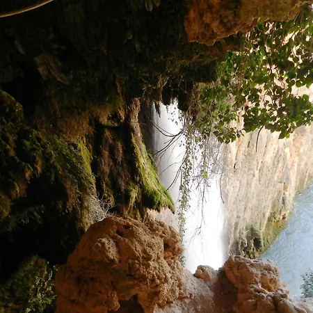 Sol Ideal Familias *