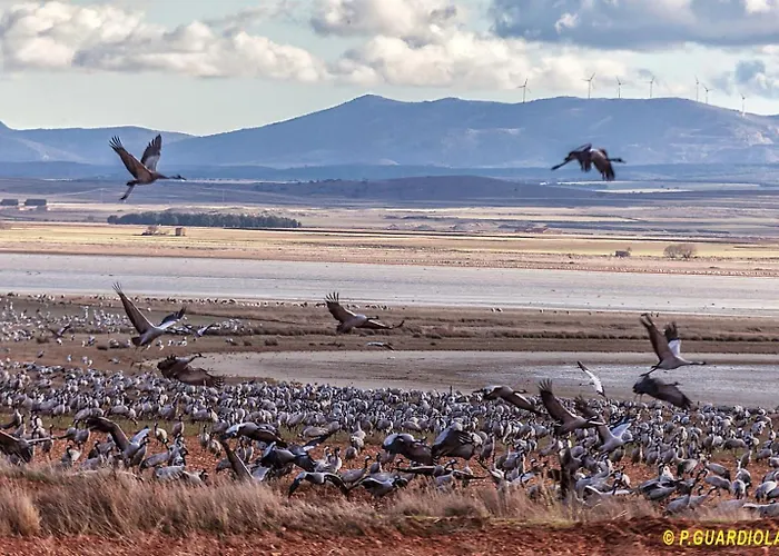 Sol Ideal Familias . *