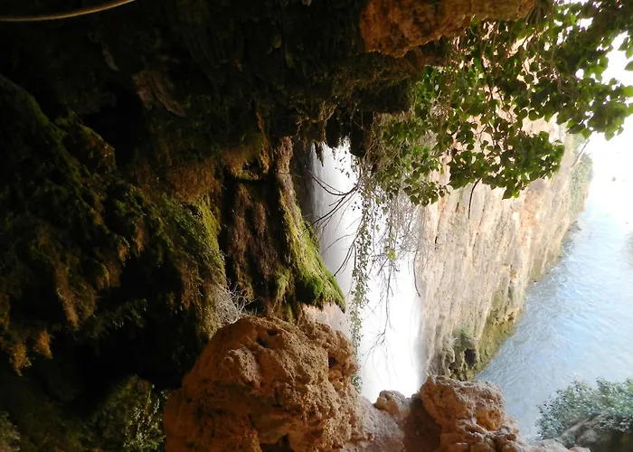 Sol Ideal Familias . *